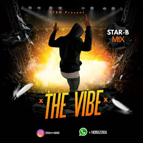 The Vibe 2K24 by Starbmix