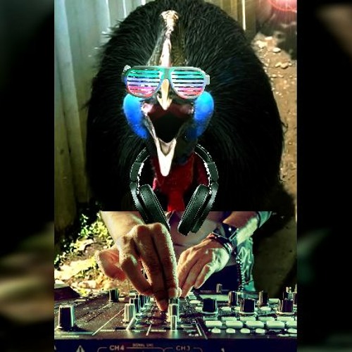 Cassowary Beat Extended
