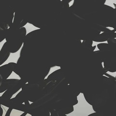 COa - Checking The Experiment (live cut)