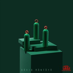 Episode 346 David Montoya