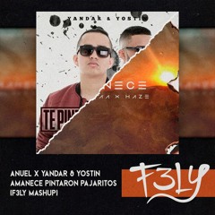 Anuel X Yandar & Yostin - Amanece Te Pintaron Pajaritos (F3LY Mashup) PRIVATE 9