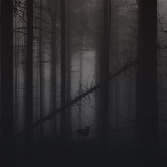 The Void 23