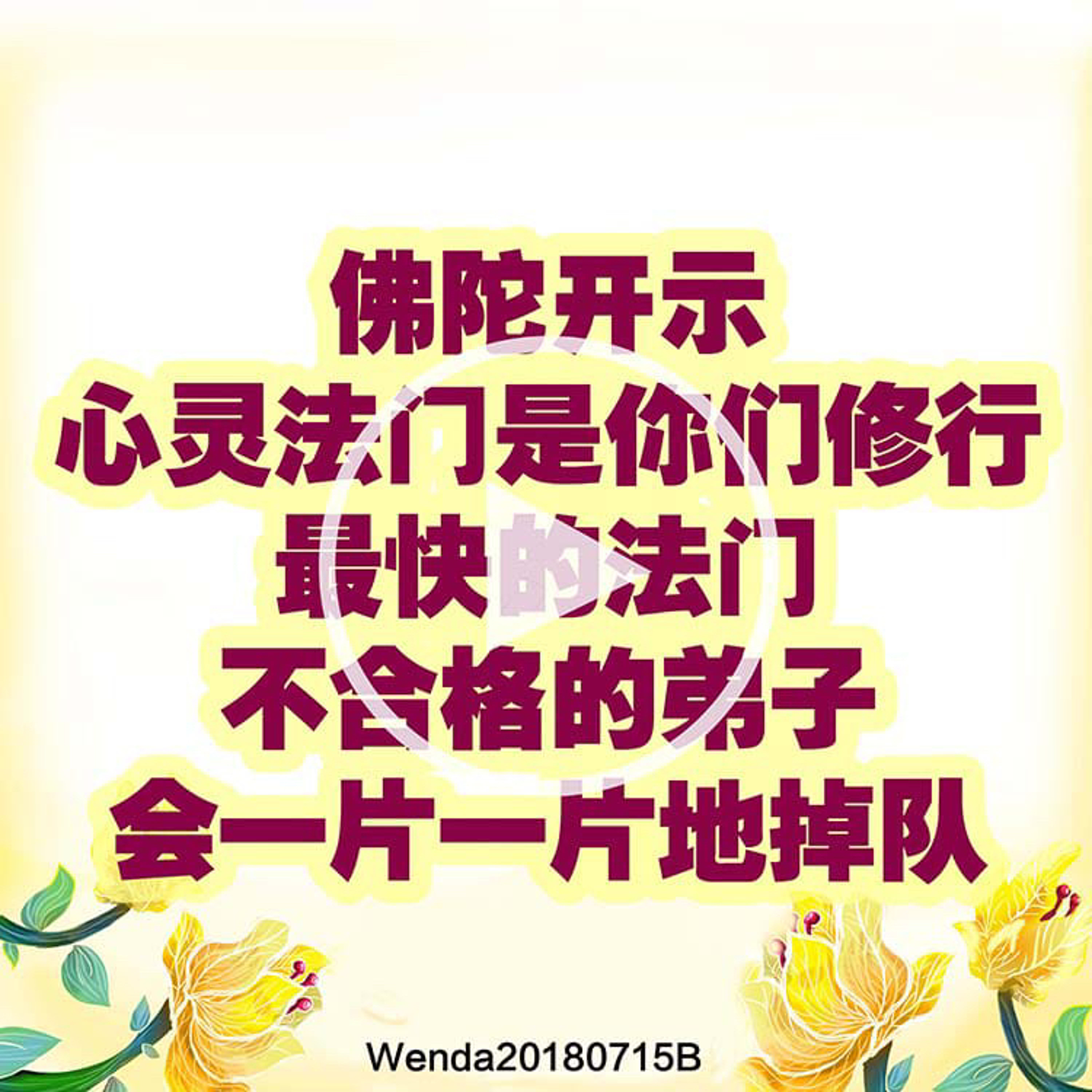 佛陀开示“心灵法门是你们修行最快的法门，不合格的弟子会一片一片地掉队 episode artwork