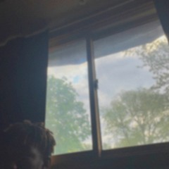 Butterflies (jean parker x shxde)