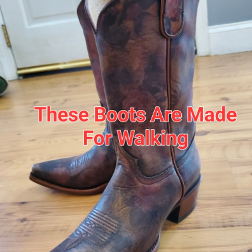 Stream These Boots Are Made For Walking by Jenni Cary Listen online