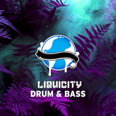 Liquicity Drum & Bass