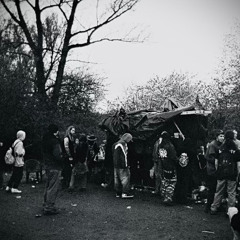 Tribe Acid Mental Psychosis