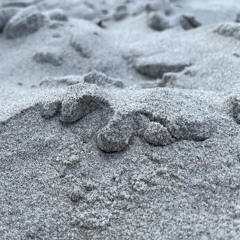 I Wrap My Knees In What Is Missing