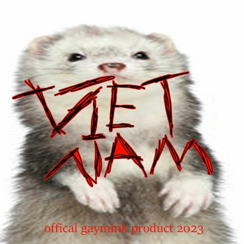 Vietcongcookedthat