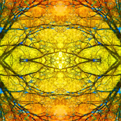 a circle within itself
