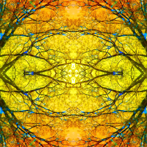 a circle within itself