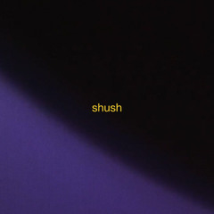 ERIK VAN INGEN INSTRUMENTALS