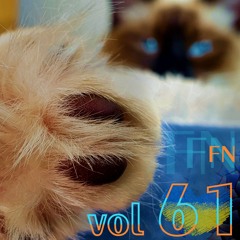 FN 61