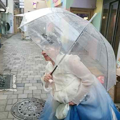 서울의 숨겨진 정원에서 © - 02:10:2024, 21.44