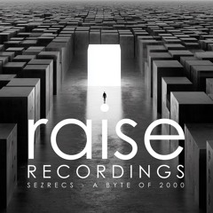 Sezrecs - A Byte Of 2000
