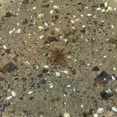 until there was Something