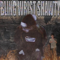 BLING WRIST SHAWTY ft. WITECROW (prod. Zem)