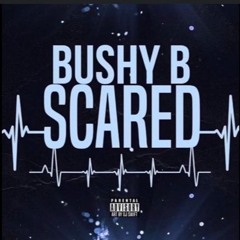 Scared (Sped Up) Bushy B I wanna spend my life, with somebody like you Scared to get attached