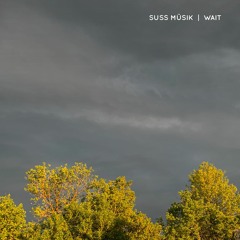 Wait [Disquiet0447]