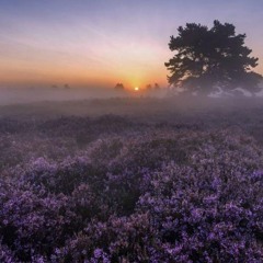Atmosphere