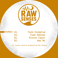 Premiere: 4 - Raw Senses - Ama Me [RSM003]