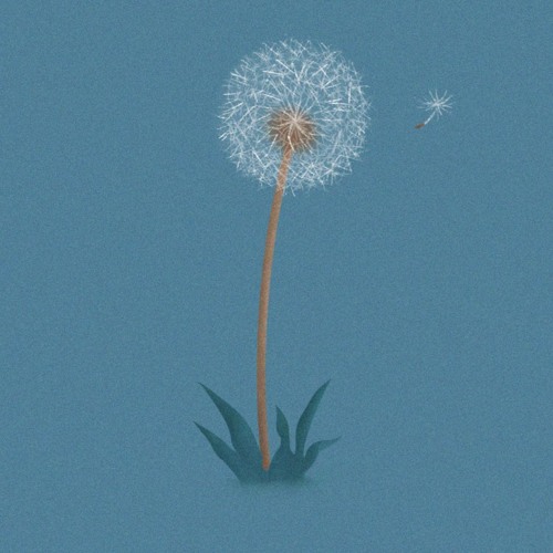 Dandy