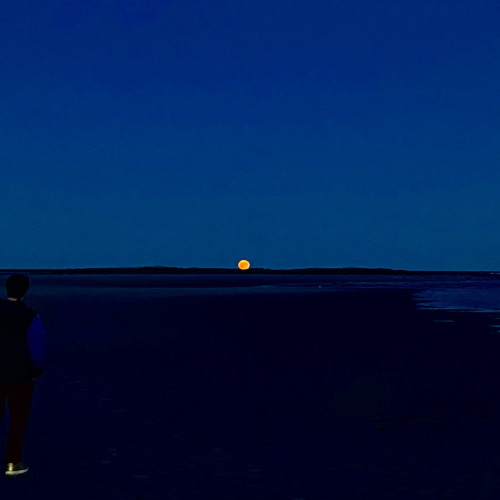 Fall In Luv - JuiceWRLD