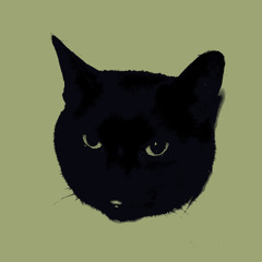 I'm Not One For Jokes