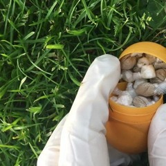 ℑ 𝔤𝔬𝔱 𝔥𝔬𝔱 𝔰𝔱𝔬𝔫𝔢𝔰 - Billed me for a 'bucha stuff I never ordered, and LOVIN’ it!