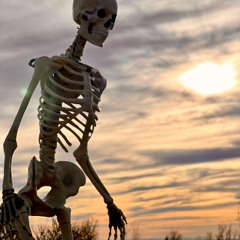 Nightmare Before Christmas