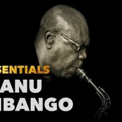 Manu Dibango Essentials