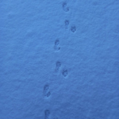 Always Missing You (2023 Version)