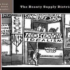 PDF Download Julius Knipl, Real Estate Photographer: The Beauty Supply District - Ben Katchor