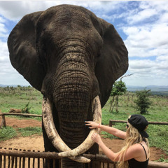 In Her Mouth Is A Knife