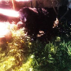 2024.04.23 Improvisation At Home