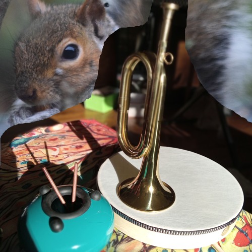 autumn sun induced euphoria