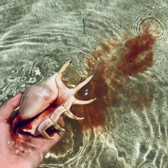 DIVINE FEMININE MIX (lost episode)