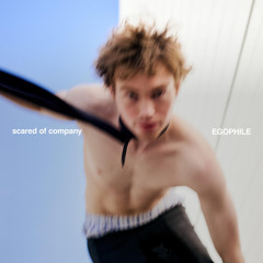 scared of company