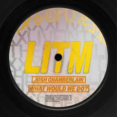 Josh Chamberlain - What Would We Do? (FREE DOWNLOAD)