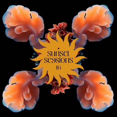 Sunset Sessions - Vol. 16 (DEVOTION Promo Mix)