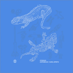 Molting (Boulderhead remix)