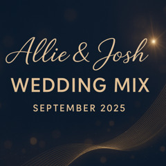 Allie & Josh's Wedding Reception!