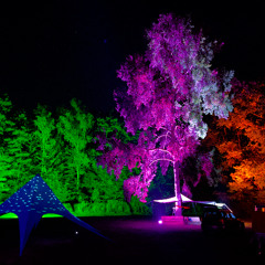 Alekks_&_Sanosdole@Tagfalter_2025