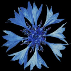 if you call me imma show up 🩵