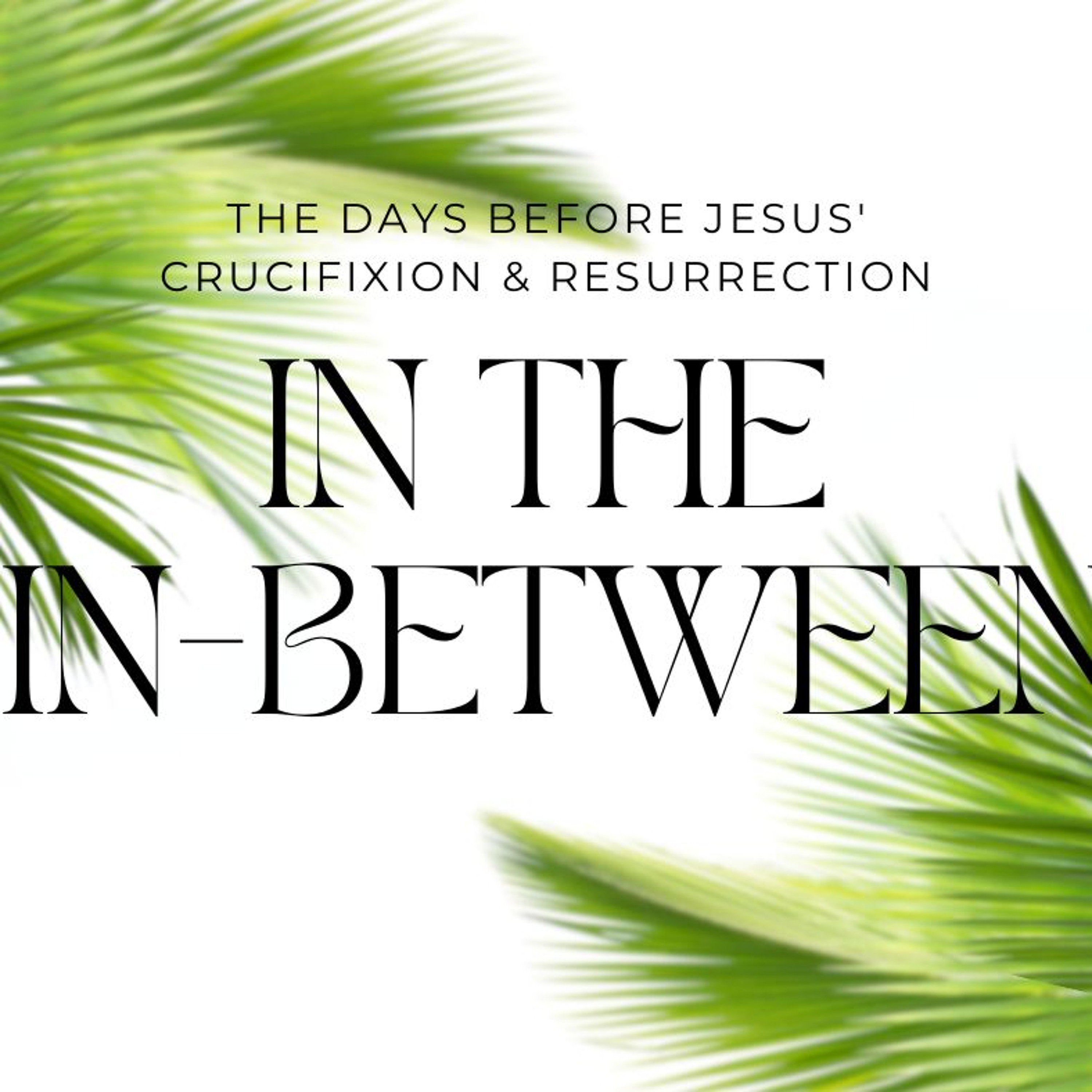 The Days Before Jesus' Crucifixion & Resurrection - In The In Between episode artwork
