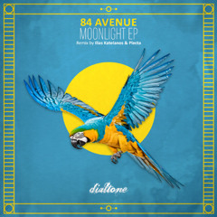 Moon Light (Original Mix)