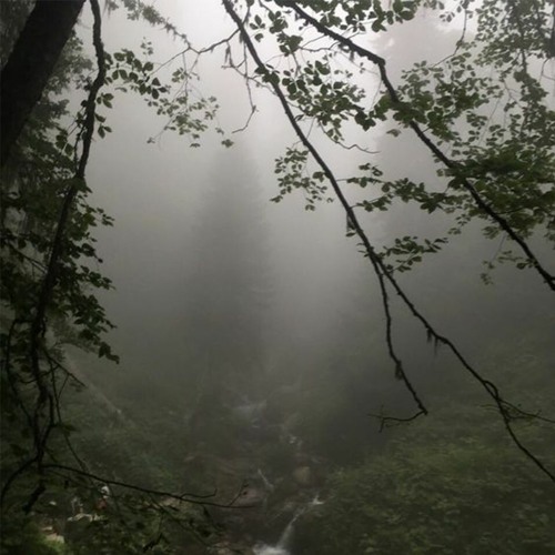 brittle bones (grayskies)