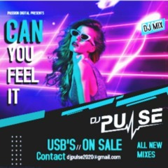 Dj Pulse Can You Feel It