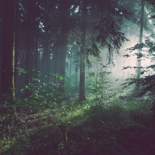 Time Waits For No Man (Free Download)