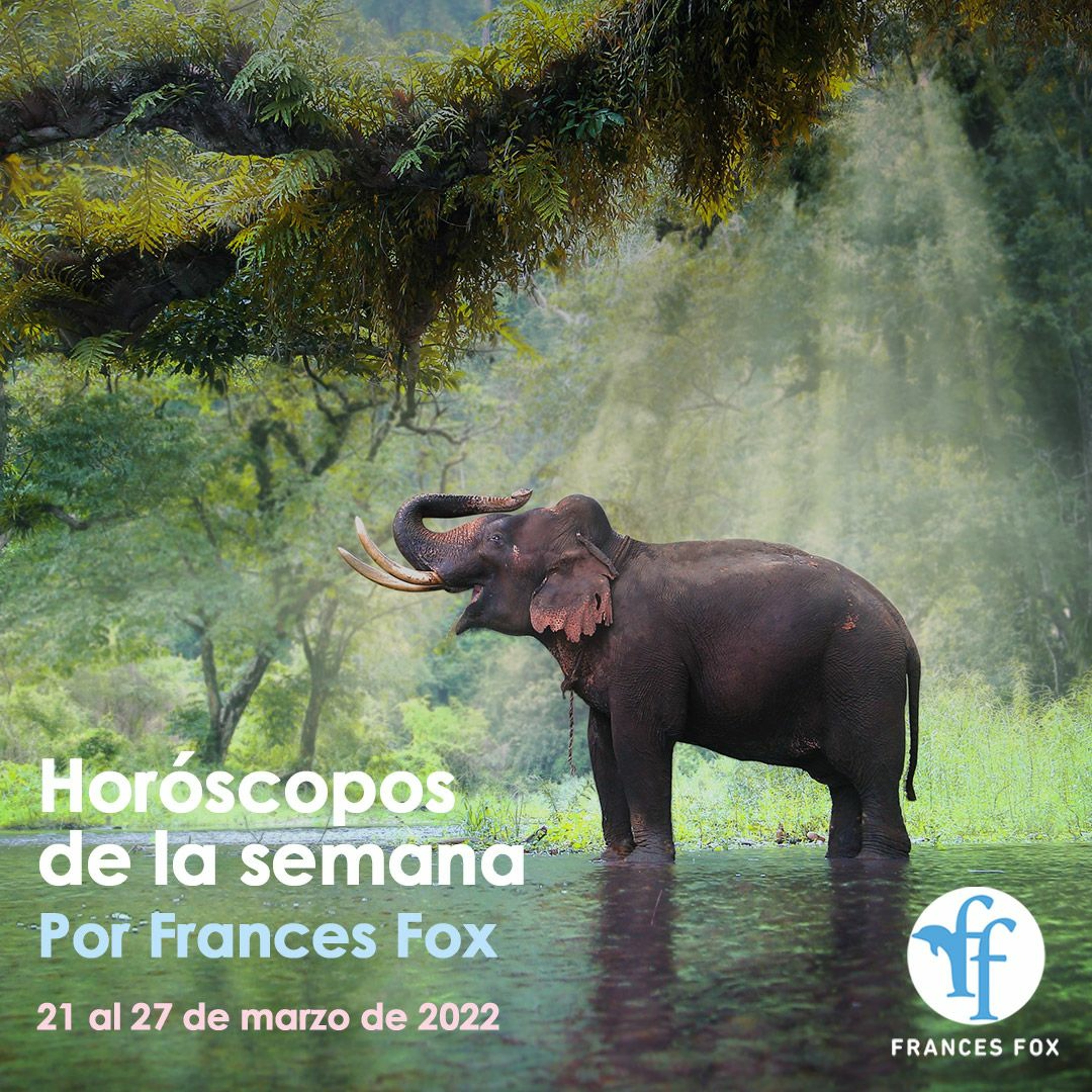 Horóscopos y mantras del 21 al 27 de marzo de 2022